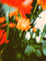 지척에 있는 애인아