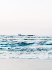 드라마/영화 연성