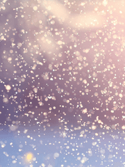 이데아의 묵시록