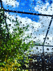 가는 비가 흐를 때 