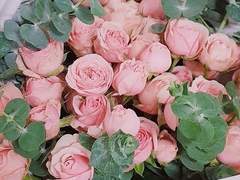 앨리스 승급시험 [중등부]