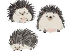 고센도치 도안 배포...