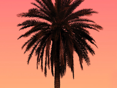 🔥공지(글목록정리)