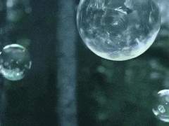 어느날 너가 사라졌다