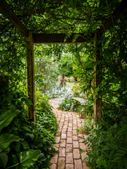 이데아의 묵시록