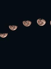 보유스름 등장인물 프로필