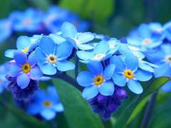 사랑의 부정적 형태.