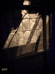 또 다시, 밝은 밤