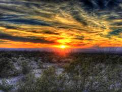 어느 텍사스 여행자의 기록