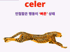 celer