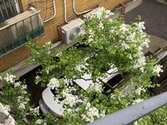 다들 잘 지내시나요?