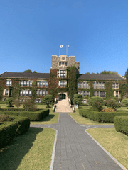 네오대 공식 커플! 모음 zip.