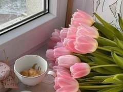 ethical 프롤로그