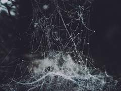 신기루는 계속되리라.