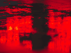 마피아와의 첫만남에 첫키스를 二