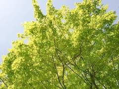 [백호열] 봄, 여름 그 사이