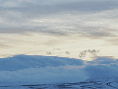 올라프는 먹는거야 49