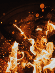 야쿠자에게 사랑은 어려워