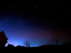 Does the blind dream of colorless sheep(눈 먼 이는 무색의 양을 꿈꾸는가)