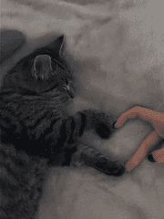 𝐋𝐢𝐭𝐭𝐥𝐞 𝐒𝐭𝐚𝐫'𝐬 𝐉𝐨𝐮𝐫𝐧𝐞𝐲