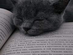 𝓗𝓸𝓹𝓮 𝓪𝓷𝓭 𝓓𝓮𝓼𝓹𝓪𝓲𝓻