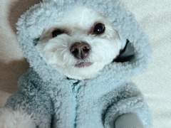 바퀴벌레로 변하면 talk