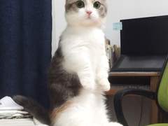 빛나는 못말려 TALK 8