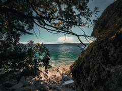 호열백호] 소금바람과 호랑이