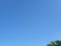 낮잠이 도망가다!