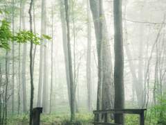 [소설] 해포커, Caution of Charnel house Ⅲ (7,342자)