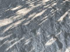 [우성태섭] 겨울 끝