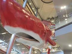 [DAY 4] 오사카역