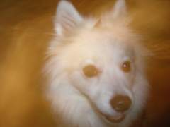 최근 있었던 최악 집착레즈썰