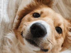 내가 갑자기 센티넬이라고? 2