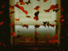 [ 아라크네의 나비매듭 / T-01-03 / 탈출 개체 / WAW / RED ]