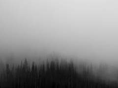 인생이 방황이다