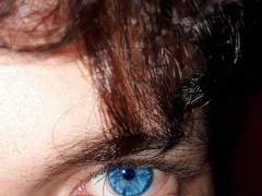 수인 세계관에서 하여자 해파리 수인으로 살아남기