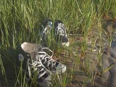 오이카게 | 영원한 열 일곱 |