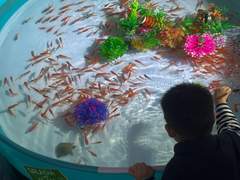 중국 | 물고기 낚는 아이