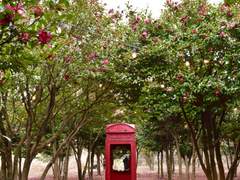 [ 제주도 ] 두 번째 풍경 사진