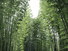 의원, 환생했더니 여자가되었다 1화