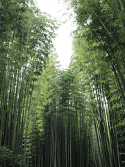 천희른 환생 ts물