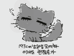 영중이랑 종수가 좋다 빵쫑빵 둘 조합 이야기함