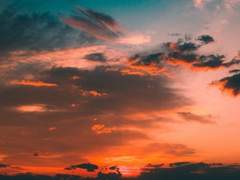 좀아포 타로 리딩