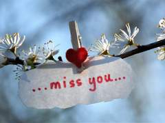 사랑만은 잊지 말자.