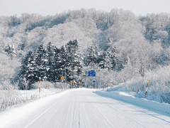 [대협대만] A Lover’s concerto - 1/3