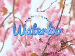 호열백호 / Waterloo (1)