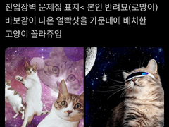 수능 한국사의 시작과 끝, 미라클 한국사 차훈