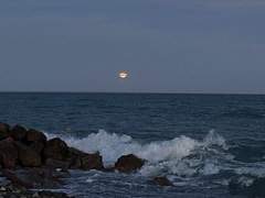 으냥아 보9 10어♡