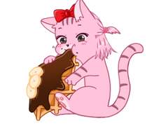 22. 11. 02 초코 크로플이 좋은 꽉냥이🐱